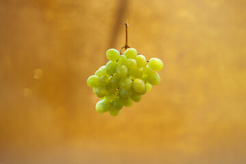 UVAS ROJAS Y VERDES SOBRE MADERA CON COPA DE VINO