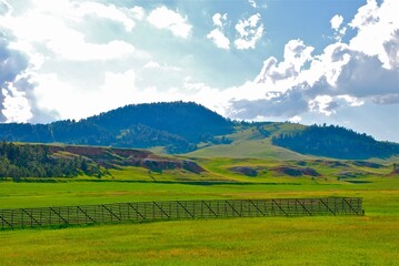 Fototapeta na wymiar Green pastures in the Black Hills of SD 