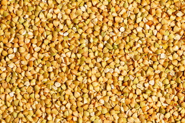 Natural Green Raw Buckwheat Groats. Raw not steamed buckwheat grains. Organic buckwheat grains ready for cooking porridge. Ecologically clean healthy food. Gluten Free. GMO Free. Top view. Close-up