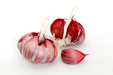Closeup of raw garlic bulb on white background