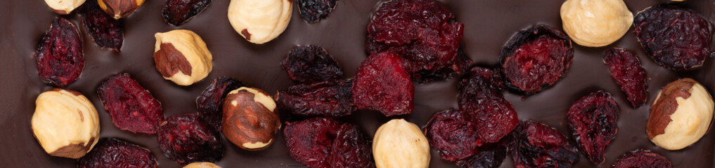 natural bitter dark chocolate with roasted whole hazelnuts and stewed cranberries