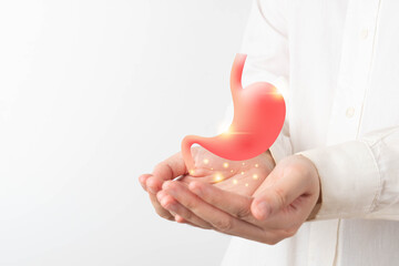 Healthy stomach organ hologram on human hands. Concept of gastric cancer screening, stomach...