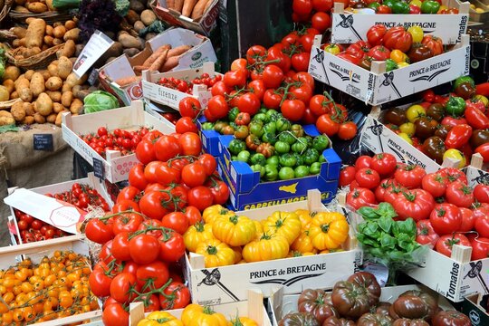 LONDON, UK - APRIL 22, 2016: Tomato varieties at Borough Market in Southwark, London. It is one of oldest markets in Europe. Its 1,000th birthday was in 2014.