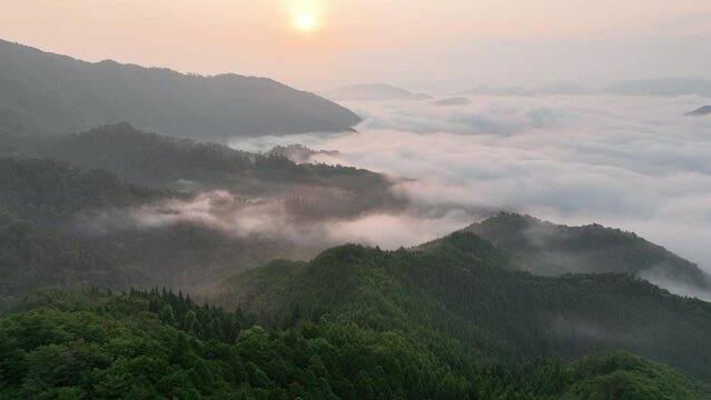 Early morning sun rays hit dense morning fog on green mountains
