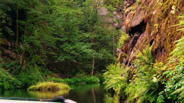 Small lake with a grass island and a stone embankment with ferns in the Giant Mountains near the rock town of Adersbach, Czech Republic