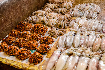 Raw calamari and octopuses for sale at the fish market