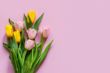 bouquet of tulips on a pink background with space for text