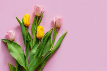 bouquet of tulips on a pink background with space for text close-up