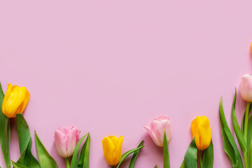 pink and yellow tulip flowers on pink background with place for text