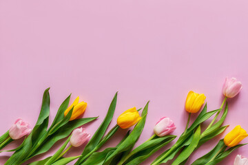 Fototapeta premium pink and yellow tulips on a pink background with space for text
