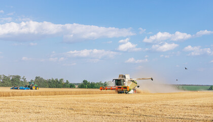 Obraz premium Combine in the field harvests wheat. Export and import of wheat from Russia. World food crisis.