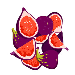 Fresh figs vector illustration. Cartoon sweet whole purple fruit cut in half and pieces, red slices with seeds and purple skin, isolated exotic ripe healthy dessert and organic summer snack for eating
