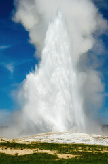 Fototapeta na wymiar Old Faithful geyser in Yellowstone National Park