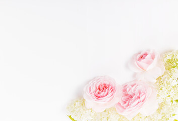 Festive flower composition on the white wooden background. Overhead view