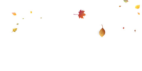 Leaves Falling Autumn Foliage Chaotic Leaf Flying