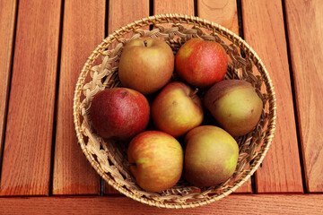 Apfel, Äpfel, Boskop, Früchte, sauer, alte Apfelsorten
