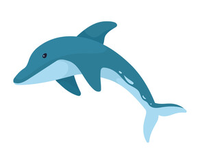 dolphin sealife animal