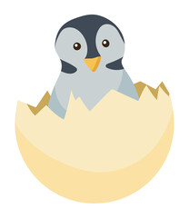 cute baby penguin wild