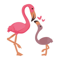 flamingo mother and baby