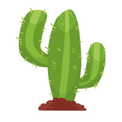 cactu desert plant