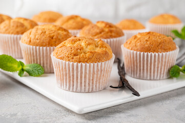 Fresh baked Vanilla cupcakes with mint, selective focus, copy space.