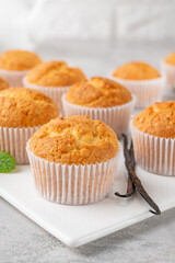 Fresh baked Vanilla cupcakes with mint, selective focus, copy space.