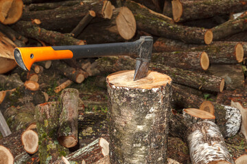 Axe with plastic handle stuck in log
