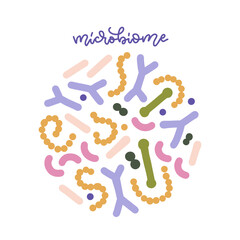 Probiotic bacteria set in circle composition with lettering word. Gut microbiota with healthy prebiotic bacillus. Lactobacillus, acidophilus, bifidobacteria. Microorganisms for biotechnology. Vector