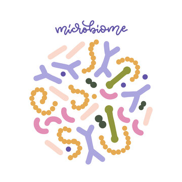 Probiotic bacteria set in circle composition with lettering word. Gut microbiota with healthy prebiotic bacillus. Lactobacillus, acidophilus, bifidobacteria. Microorganisms for biotechnology. Vector