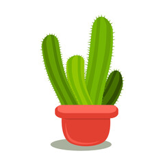colorful cactus in the pot with a flat vector design