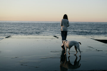 a woman and a dog on the seashore early in the morning