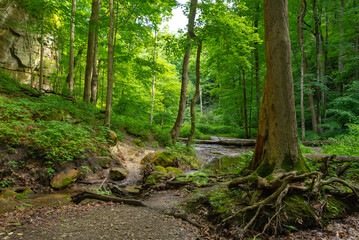 Landscape in Kaskaskia Canyon.
