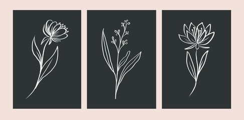 Set of tropical white leaves
