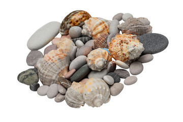 Sea pebbles and shells highlighted on a white background.