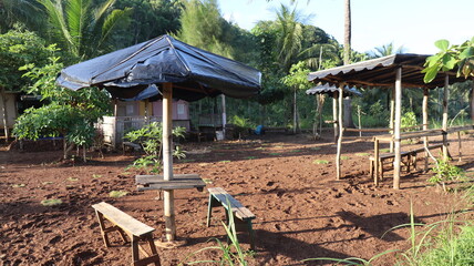 garden in the garden