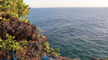 green moss on the rocks
