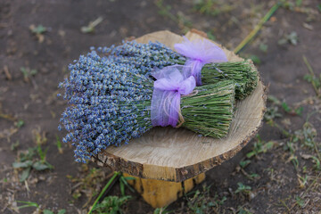 Bouquet of lavender flowers with selective focus on a blurred background. Copy space