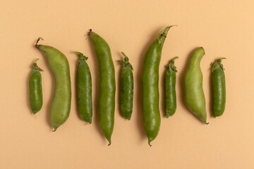 Pea and broad beans in the pod on a beige background. Top view.
