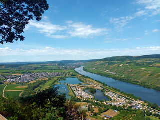 Fototapeta premium Blick vom Kumer Knüppchen über die Mosel bei Riol und Mehring mit dem Freizeitsee Triolago an der Moselsteig-Etappe Mehring–Leiwen.