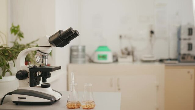 Food laboratory with microscope and grain in tubes with pipette. Lab equipment with copyspace.