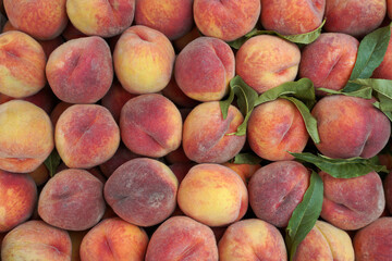 ripe peaches on a market