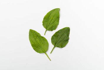 Plantain leaves on white background, top view