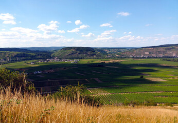 Weinberge an der Mosel bei Leiwen im Landkreis Trier-Saarburg. Aussicht vom Fernwanderweg...