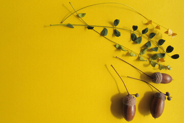 Acorns and autumn leaves on a yellow background.