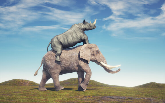 Rhino Rides An Elephant. Friendship And Co Workers Concept