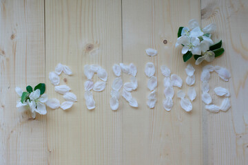 Word "spring" made of delicate fragile white petals of cherry tree flowers with little bouquets on wooden background. Spring season