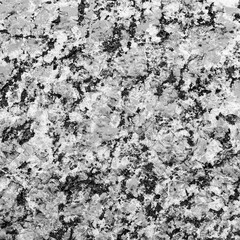Black and White Stone Texture. Granite Background. Photo for Wallpaper or Design. Natural Stone Texture Photo