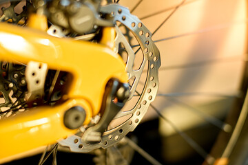 rear disc brake of a mountain bike