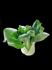 Beautiful shot of a bok choy against a black background