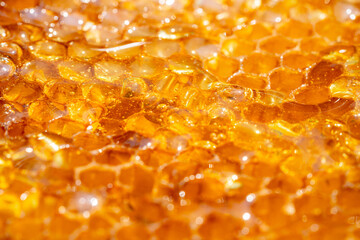 Drops of thick golden honey flowing along the frame of honeycombs. Honey pouring and dripping along honeycomb cells in the apiary. A sweet honey product produced by bees. Beekeeping. Extra close up.